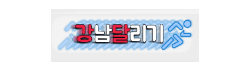강남달리기 강남달리기