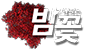 밤꽃 밤꽃