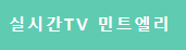 민트엘리 민트엘리